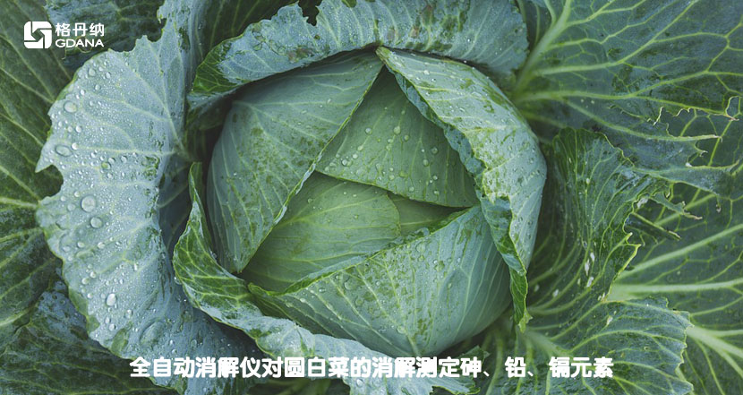全自動消解儀對圓白菜的消解測定砷、鉛、鎘元素